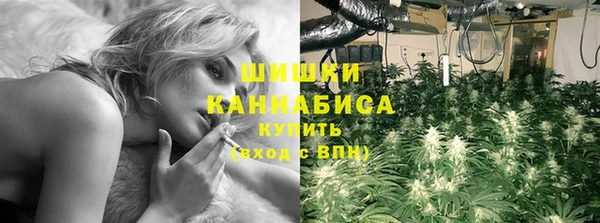 spice Алзамай